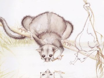 Grandma Poss brushing teeth