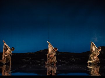 Three dancers in flowing, sheer costumes perform on a stage with a dark blue backdrop, mimicking wing-like formations, their reflections visible on the polished floor.