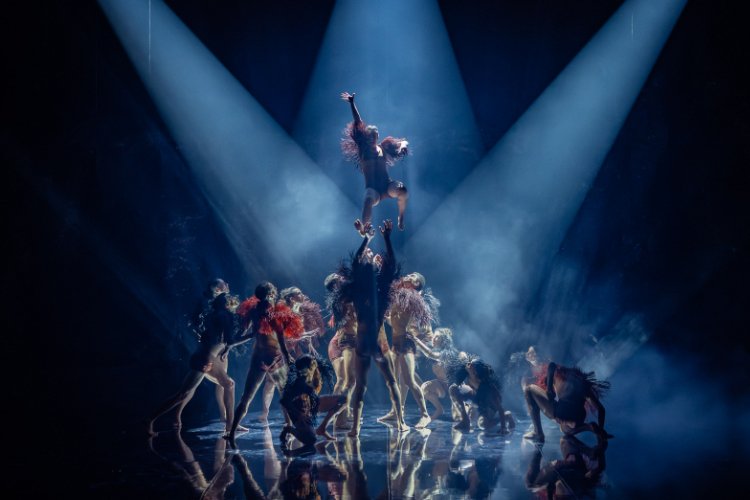 A theatrical dance performance under dramatic spotlights. Dancers in dark, revealing costumes with feather accents are lit from above, with one dancer perched atop others in a display of strength and collaboration.