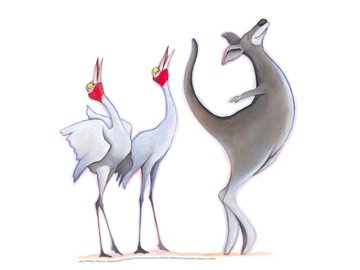 An illustration of two large white bird and a kangaroo