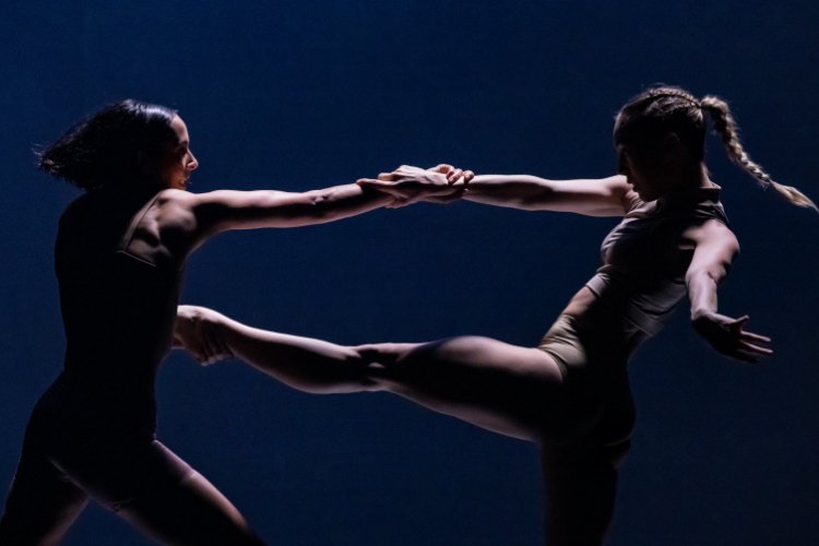 Two dancers in leotards hold hands, extending legs in a synchronized pose against a dark blue background.
