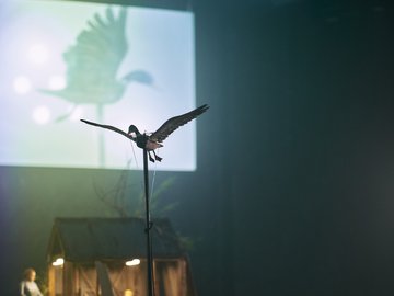 UFO_6