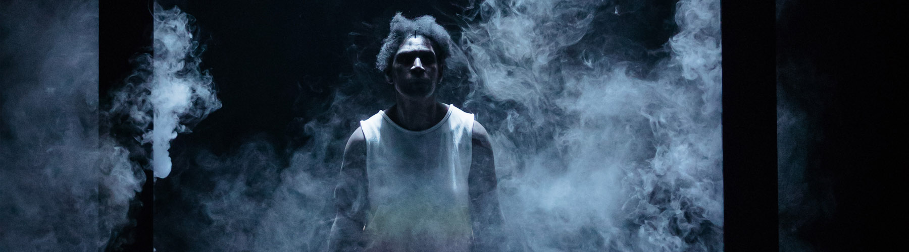 Bennelong Web Banner